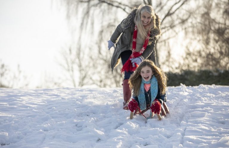 November – December 2024 Newsletter