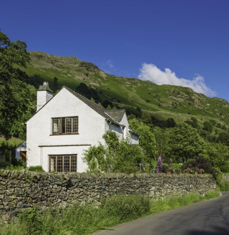 September – October 2024 Newsletter